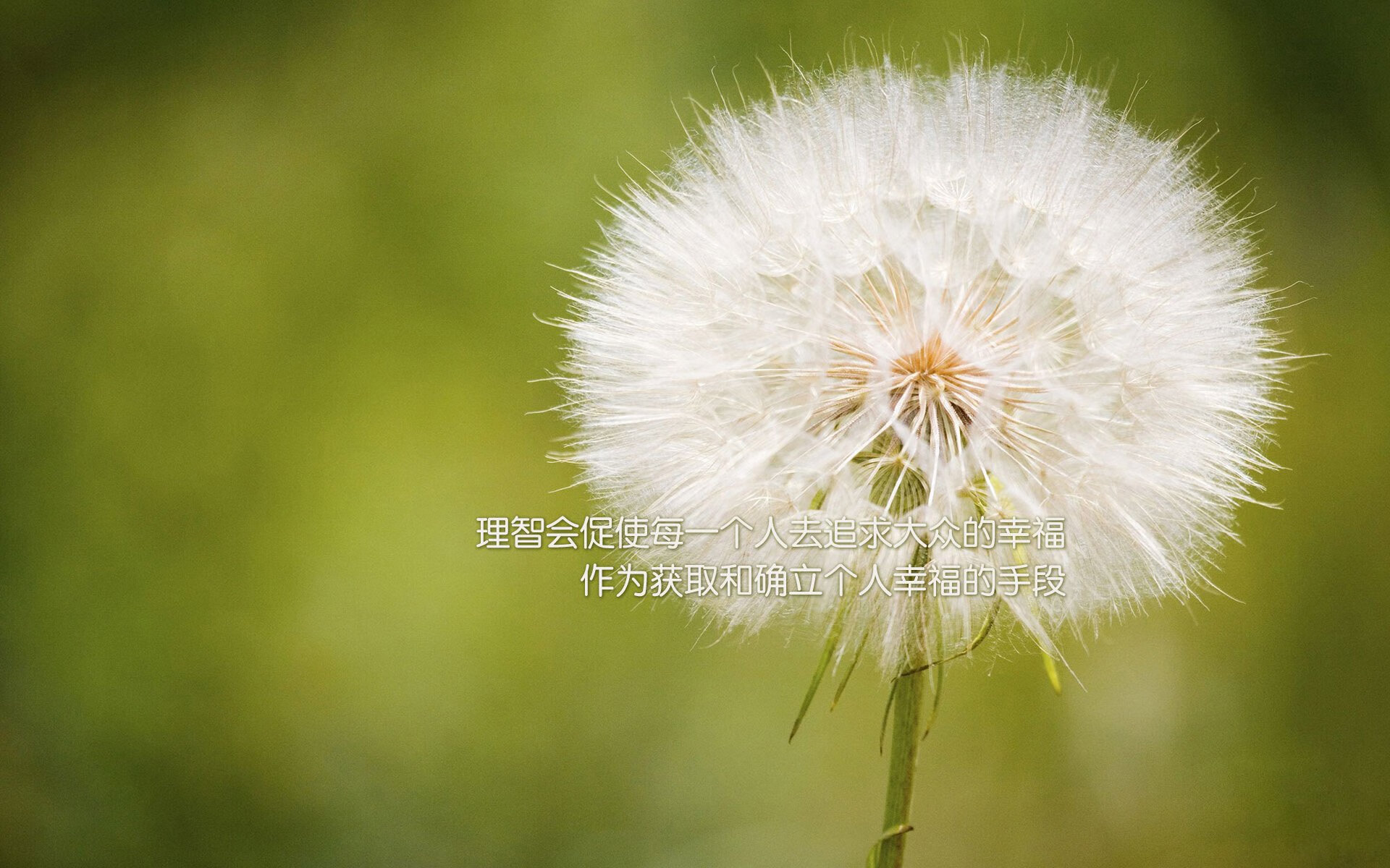 _未来智能跑鞋：科技助力每一步_，未来科技鞋子好不好