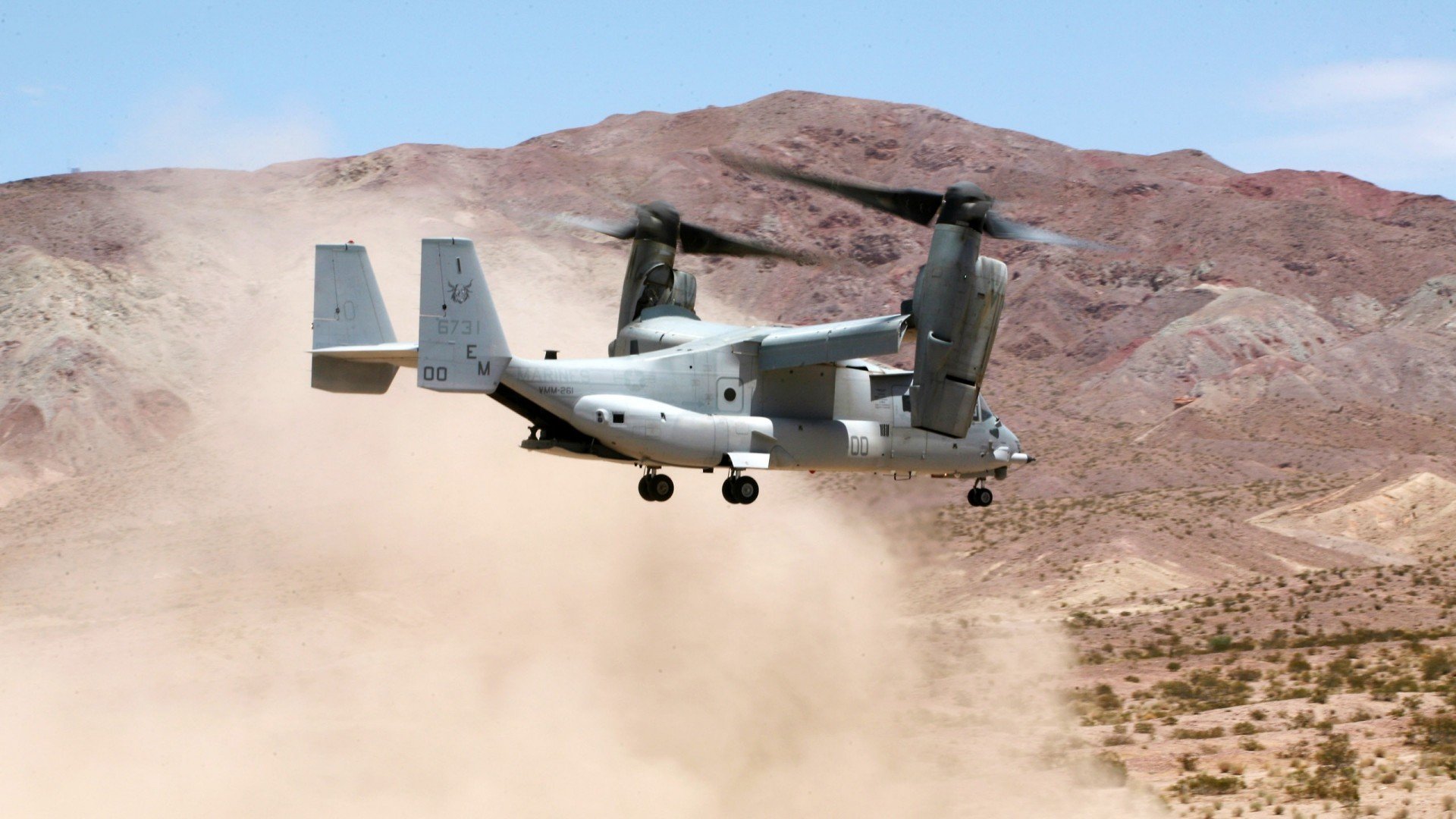 开云体育官方-_雄鹿队全场挥洒汗水，迎难而上_，雄鹿队战术解析