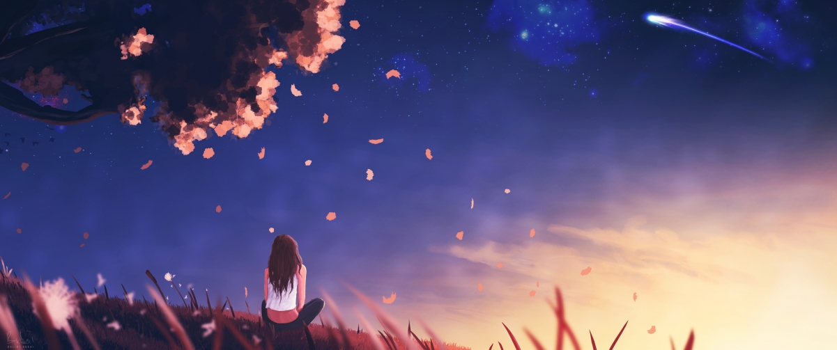 【冠军之路】运动员:从训练营到世界舞台的成长足迹,运动冠军2