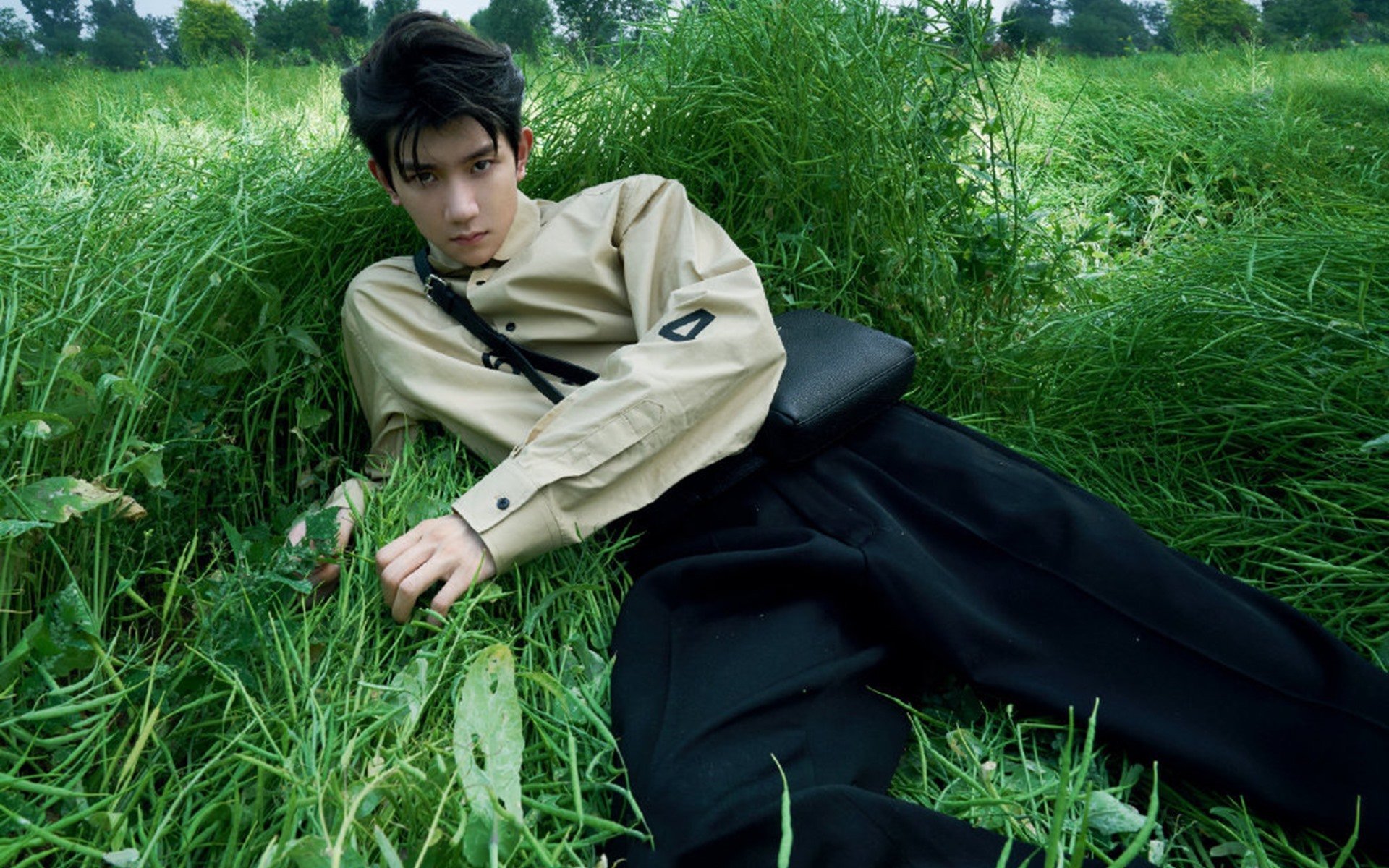 伊朗马术协会举办青少年马术交流活动,促进国际友谊。,伊朗马种